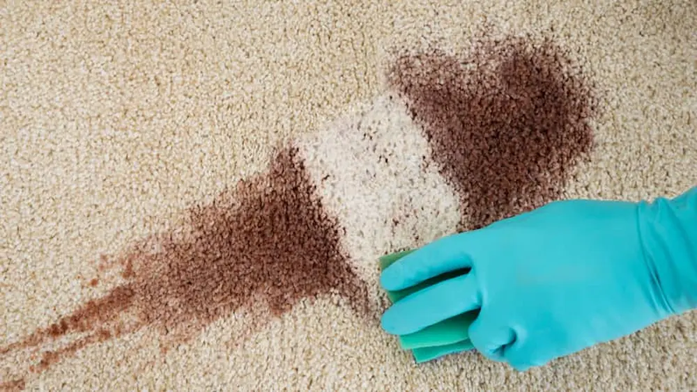 نکات مهم برای پاک کردن لکه رنگ مو از روی فرش